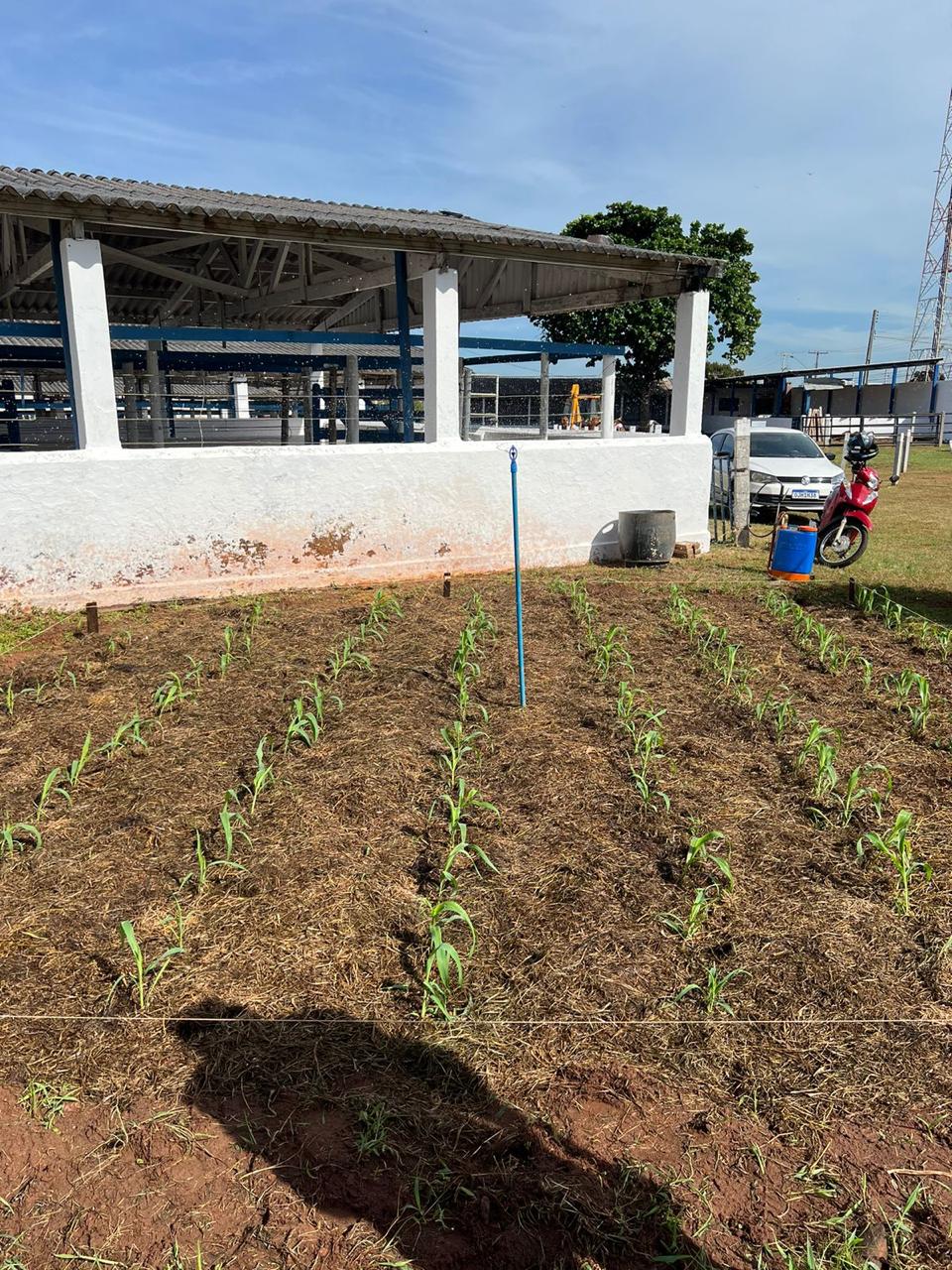 Fazendinha Cheiro da Roça na Expoara 2024: Vivenciando o mundo rural