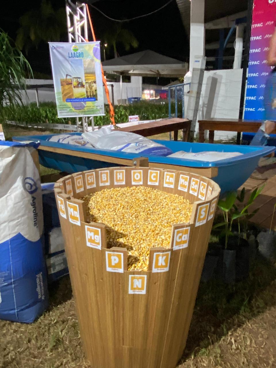 Fazendinha Cheiro da Roça na Expoara 2024: Vivenciando o mundo rural