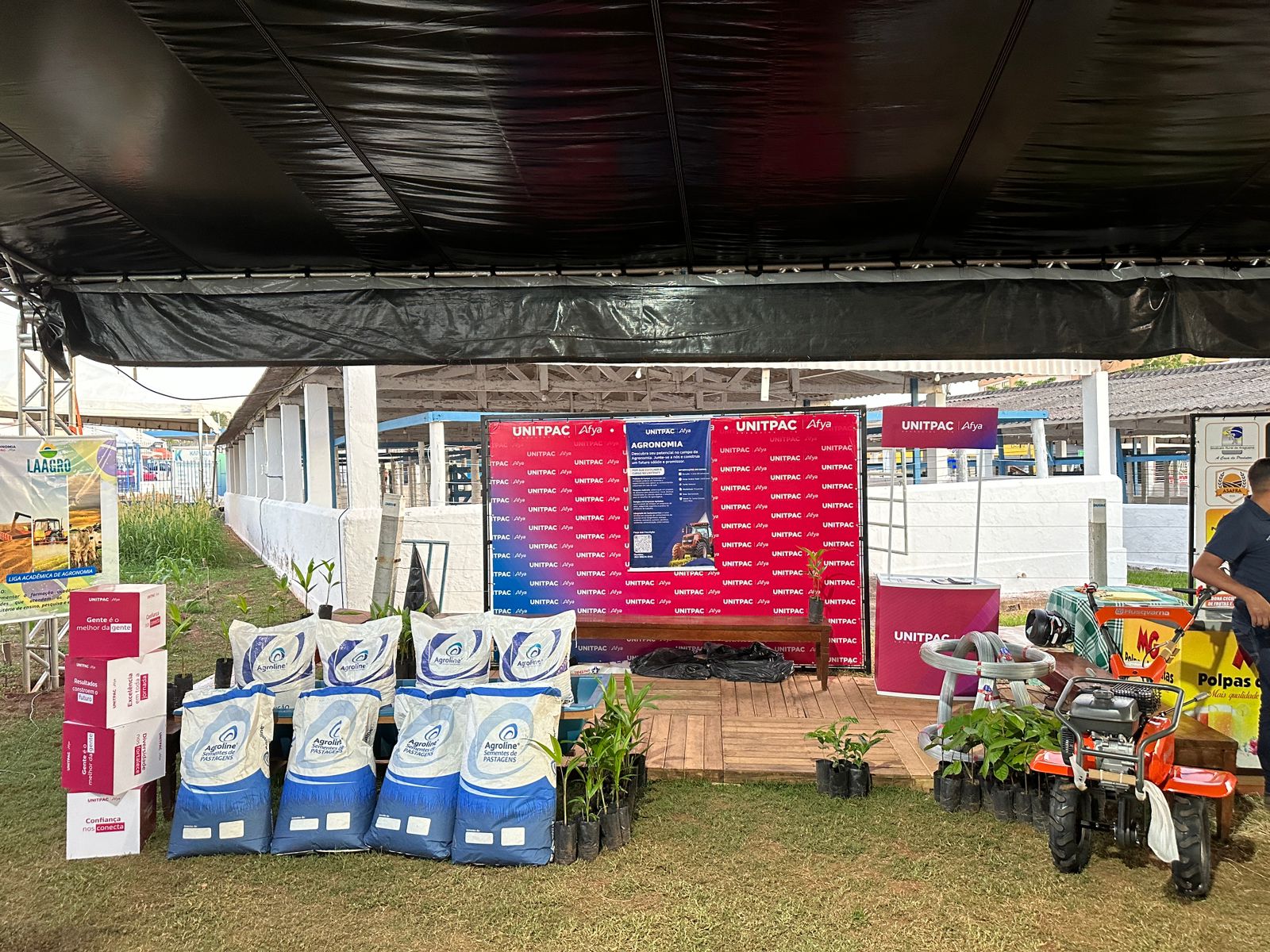 Fazendinha Cheiro da Roça na Expoara 2024: Vivenciando o mundo rural