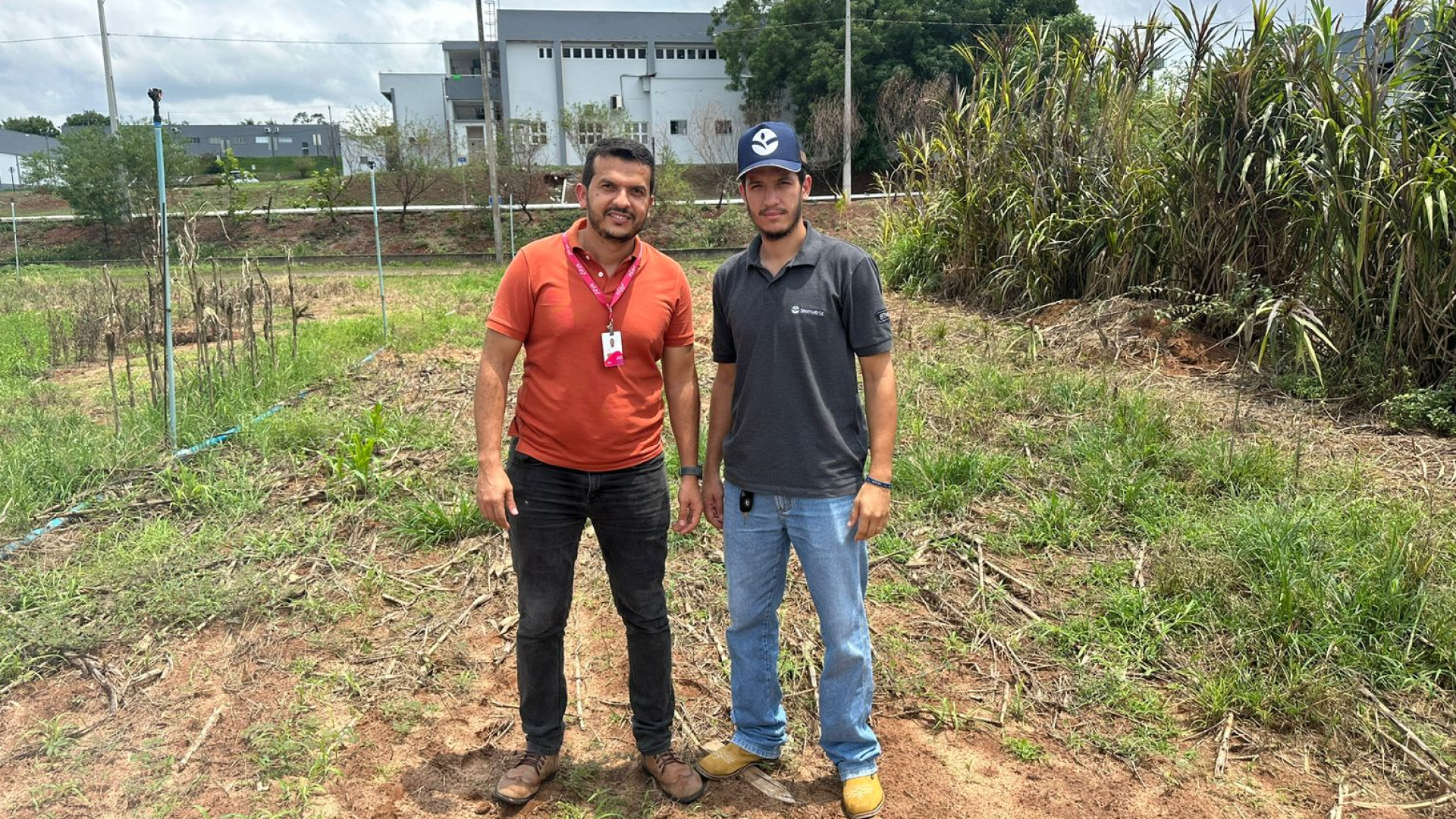 Parceria entre o curso de Agronomia do UNITPAC e Sementes Biomatrix fortalece o controle biológico de pragas