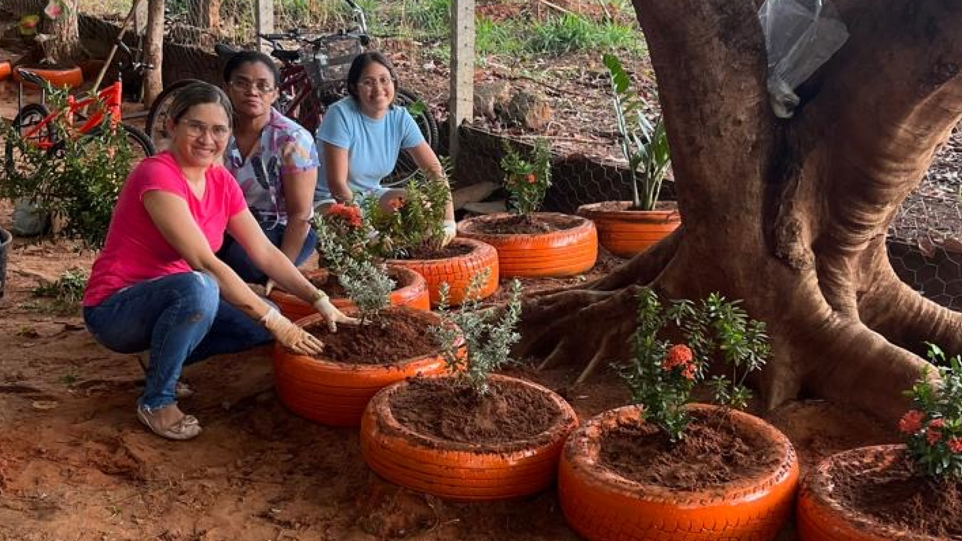 Projeto Novo Olhar revitaliza área de lazer do Instituto Casa de Davi com jardim sustentável