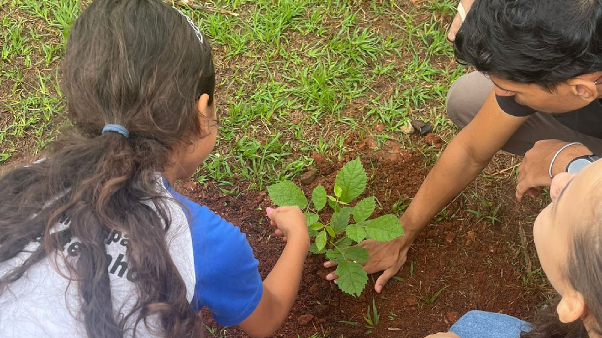 “Sementes do Amanhã” traz educação ambiental para Escola Meu Castelinho
