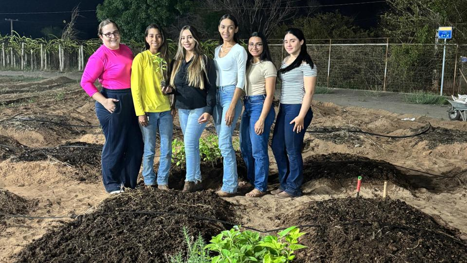Jardim da Saúde: Agronomia Unitpac implanta espaço educativo de plantas medicinais