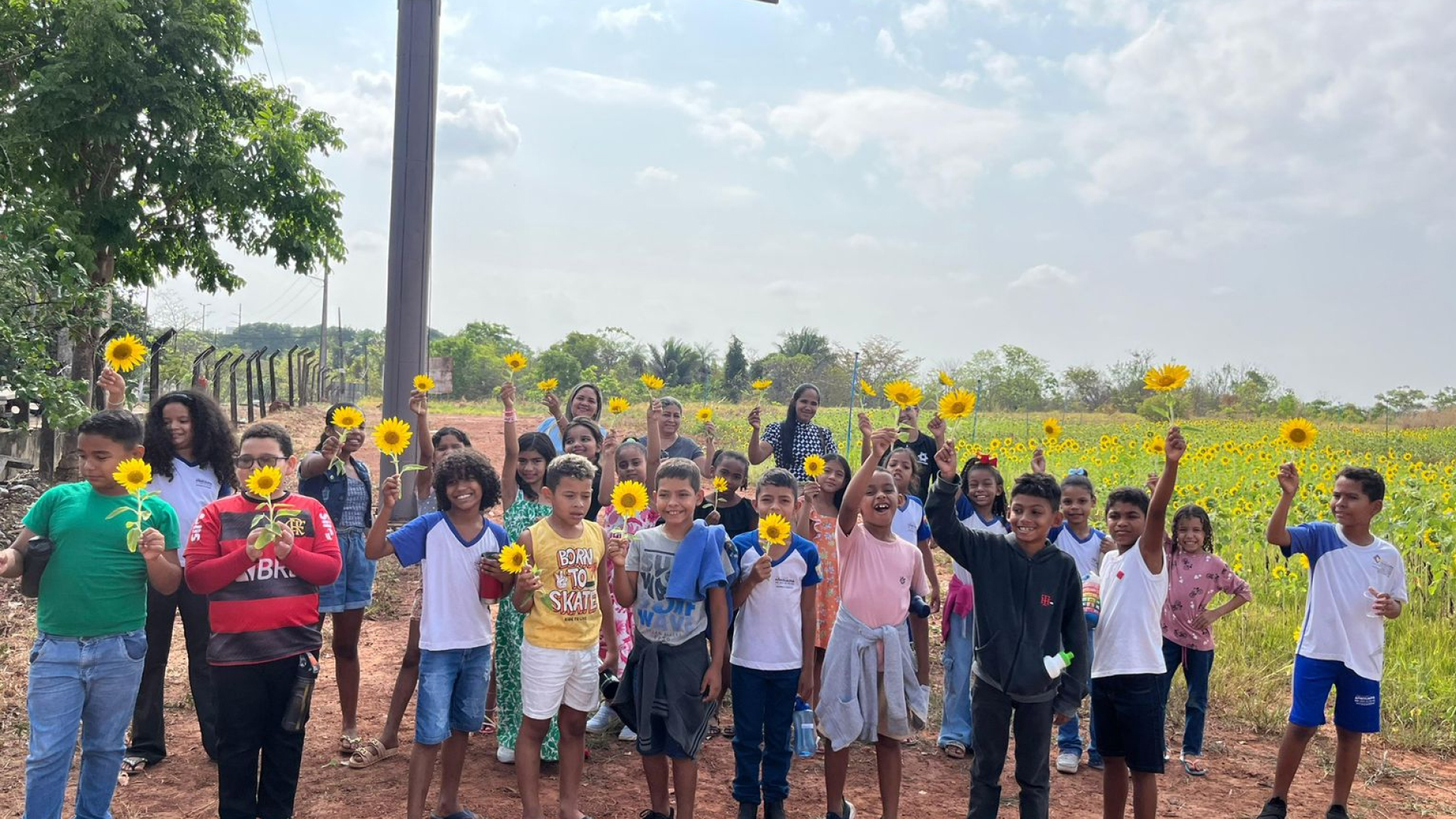 Laagro Apresenta Plantação de Girassol para Alunos da Escola Dr. Cezar Belmino