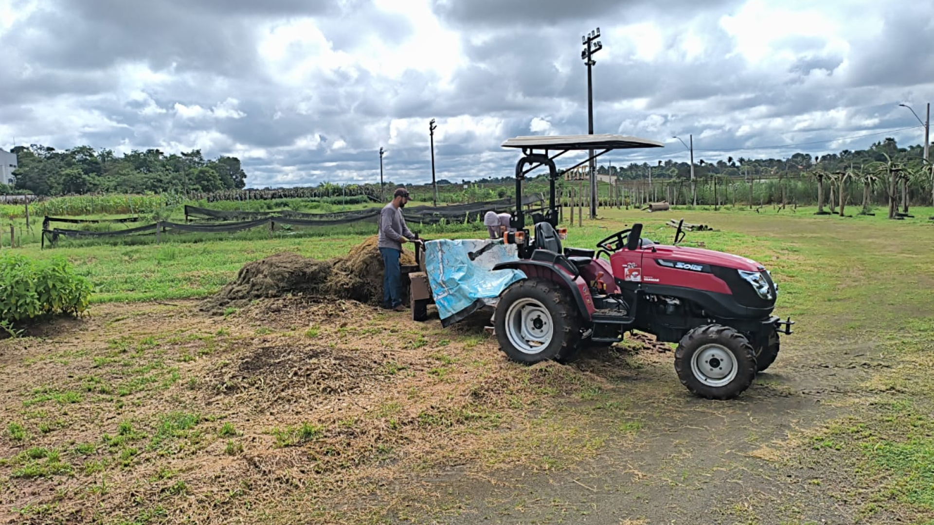 Agronomia Unitpac transforma resíduos verdes em adubo natural por meio da compostagem