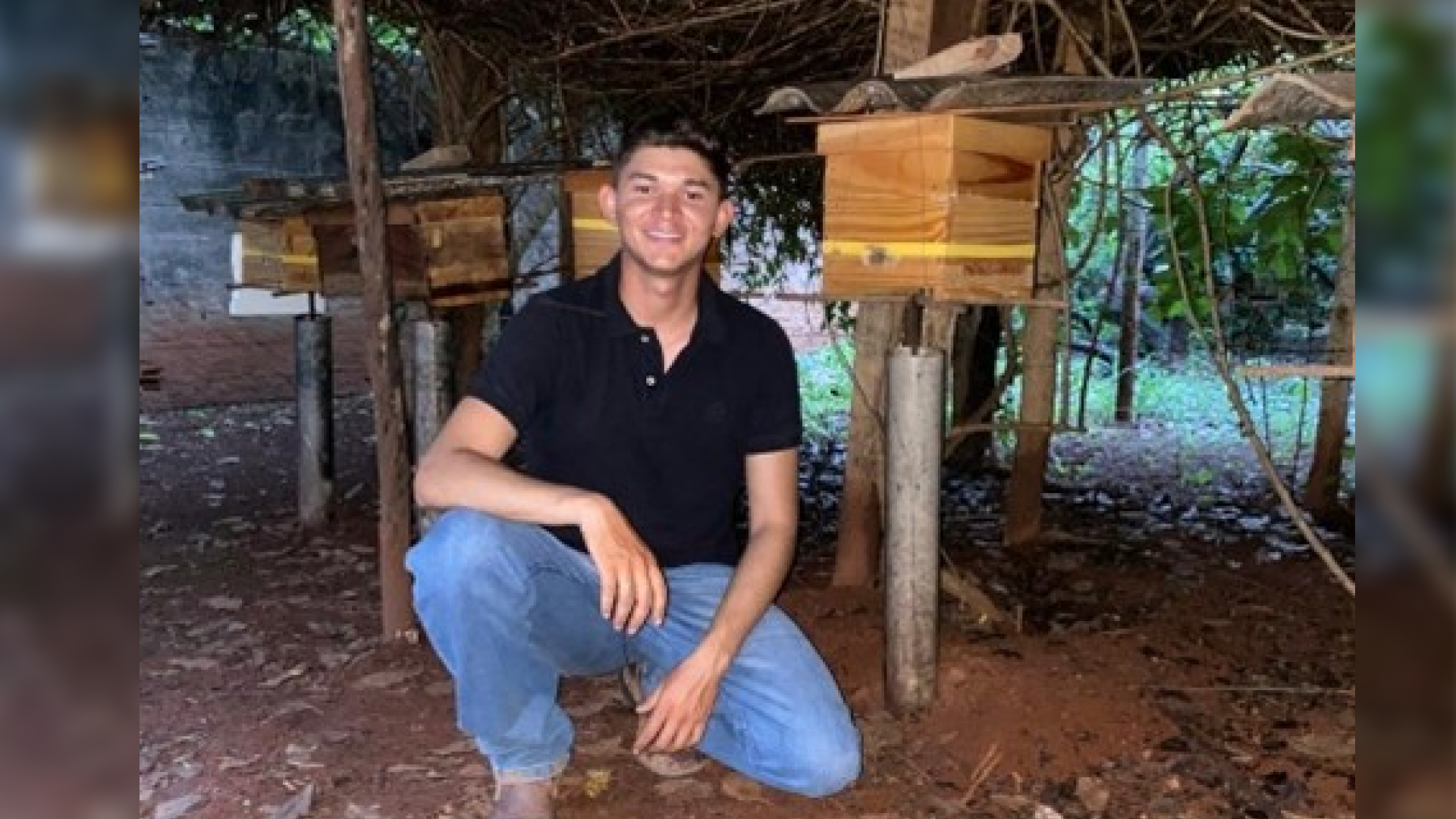 Meliponicultura Sustentável: Preservação ambiental e geração de renda com abelhas nativas