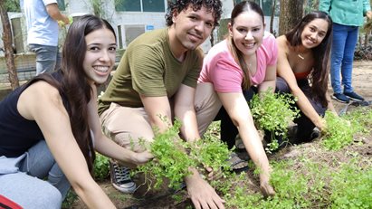 colheita horta outubro