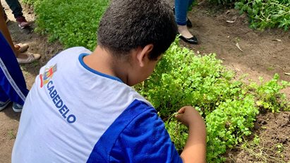 Visita Escola Horta