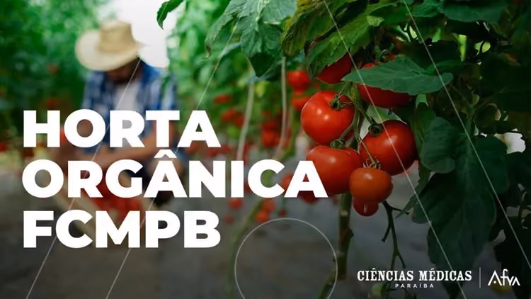 FCMPB realiza nova colheita de Horta Orgânica