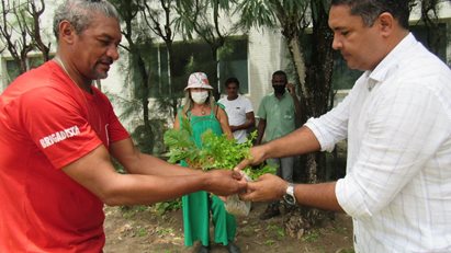 FCMPB realiza colheita orgânica.