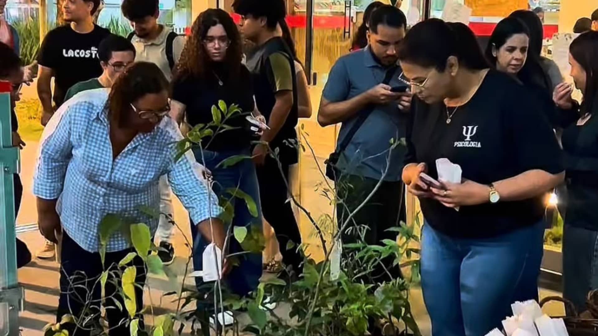 Distribuição de mudas marca o Dia Mundial do Meio Ambiente na Afya Montes Claros