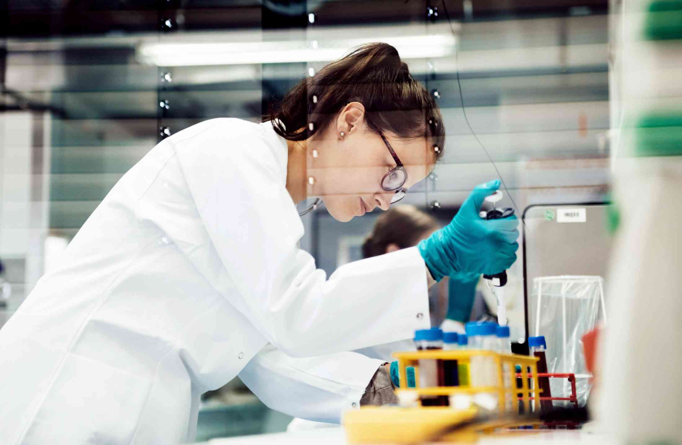 Biomedicina: conheça as áreas de atuação e principais dúvidas sobre a carreira