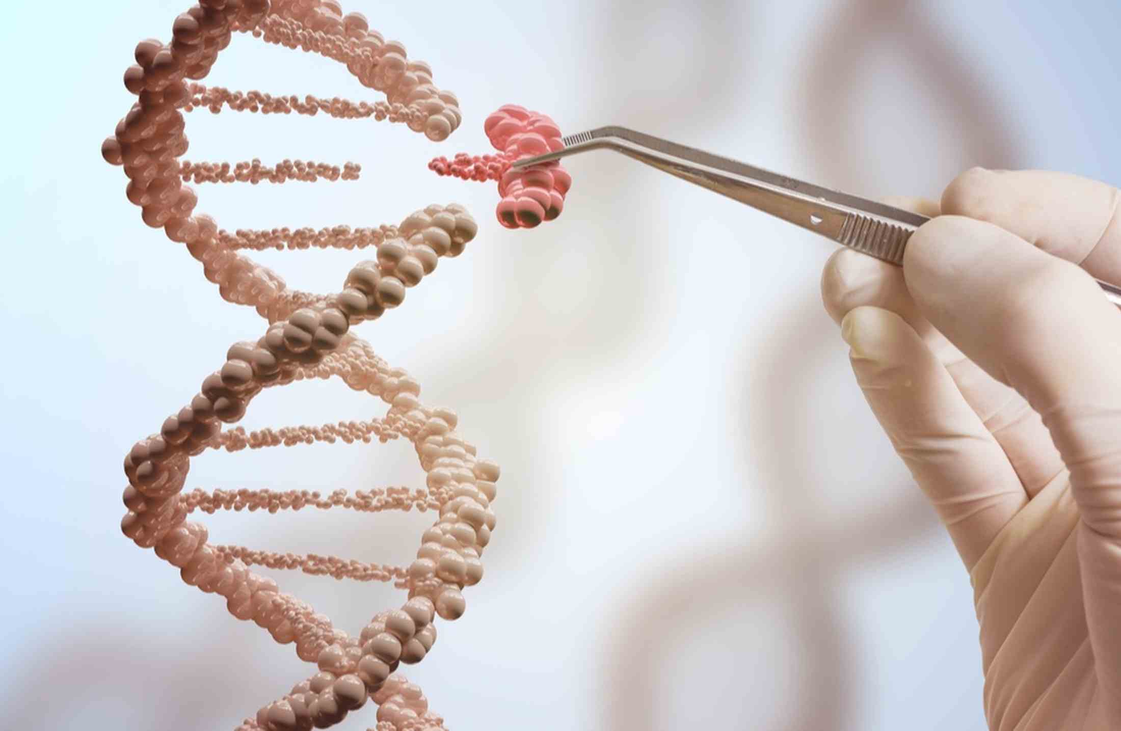 Ciências biológicas é só biologia?