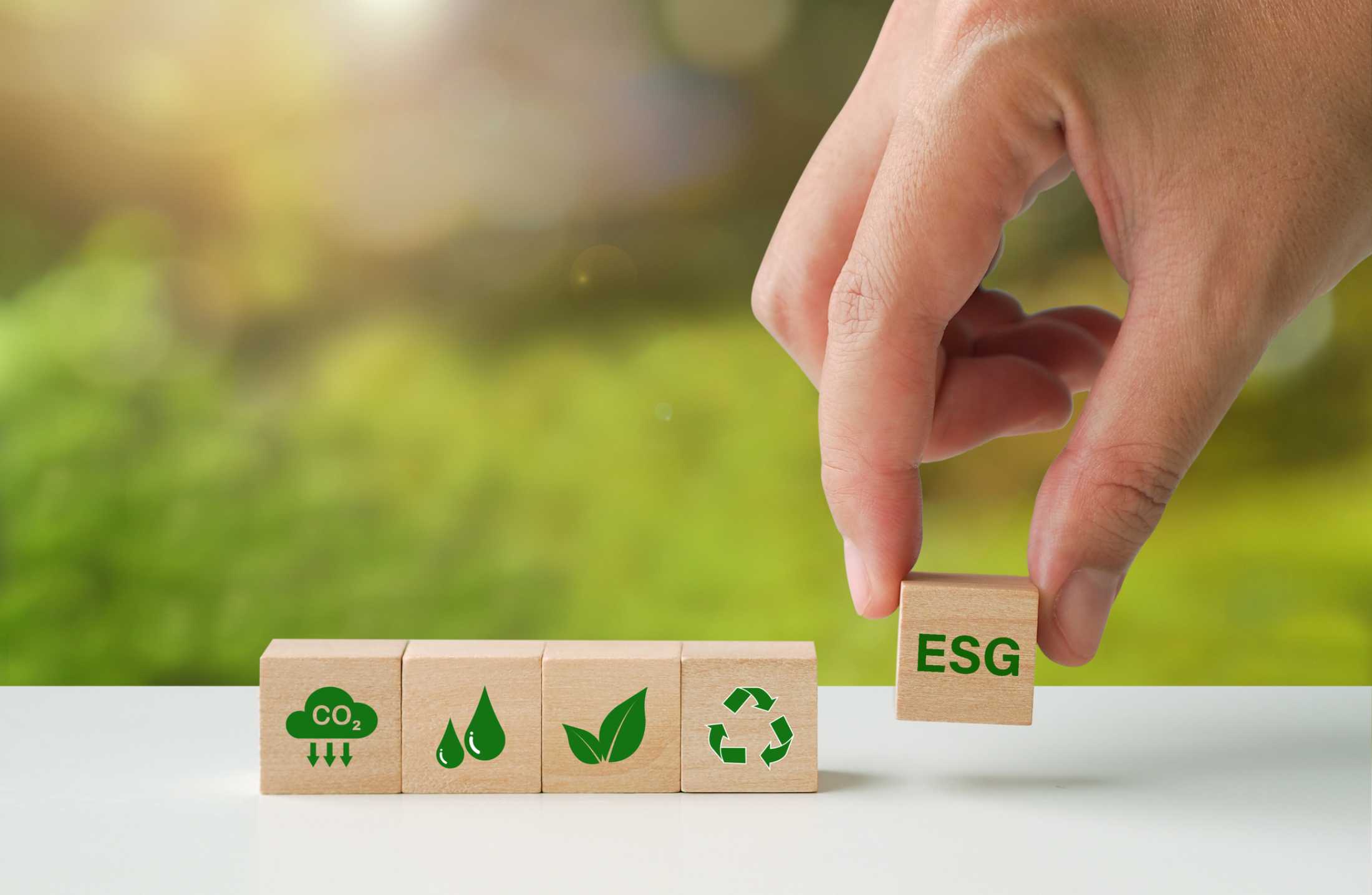 Como aplicar a agenda ESG na competitividade dos negócios?