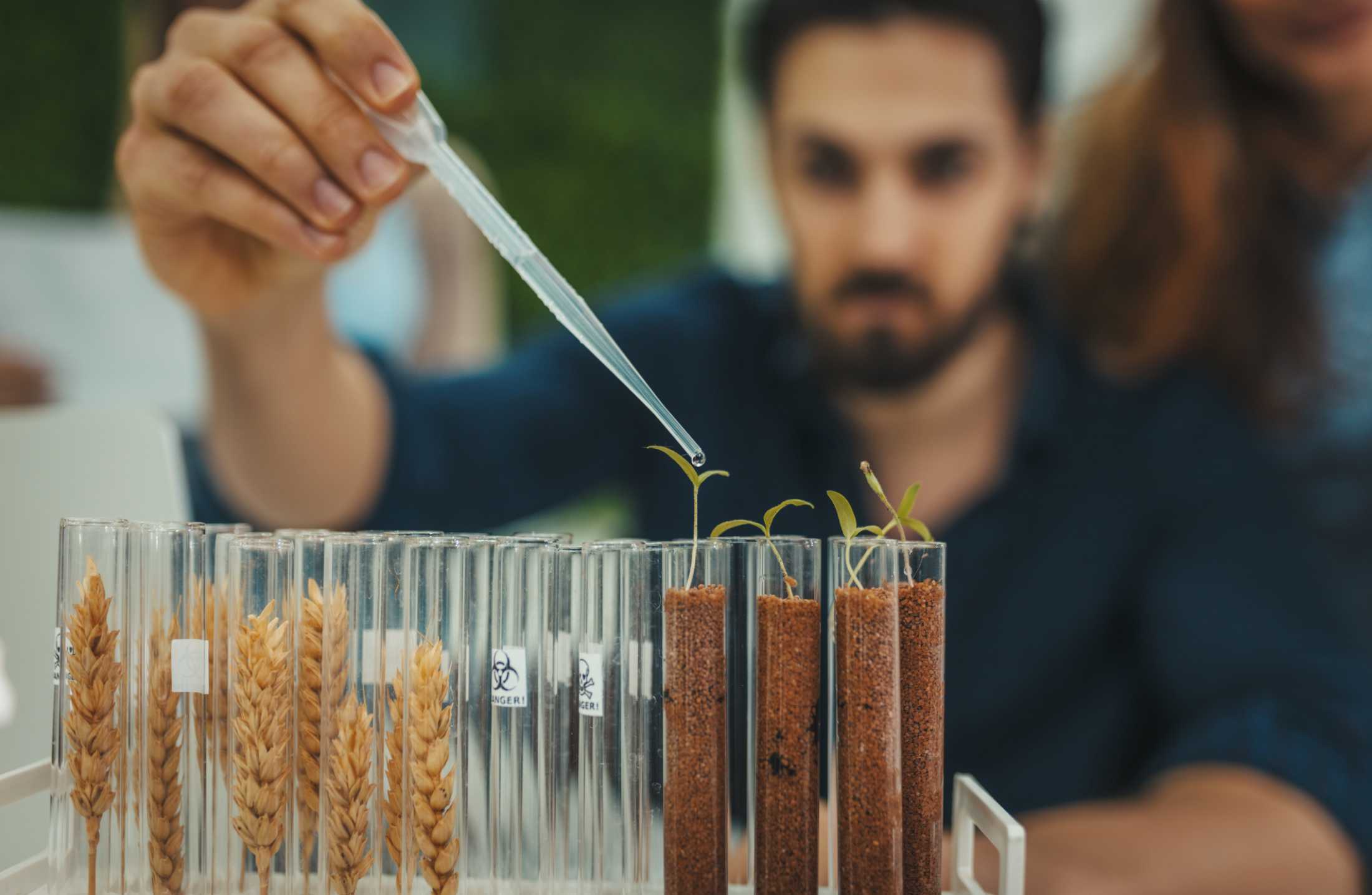 Como é o curso de Agronomia?