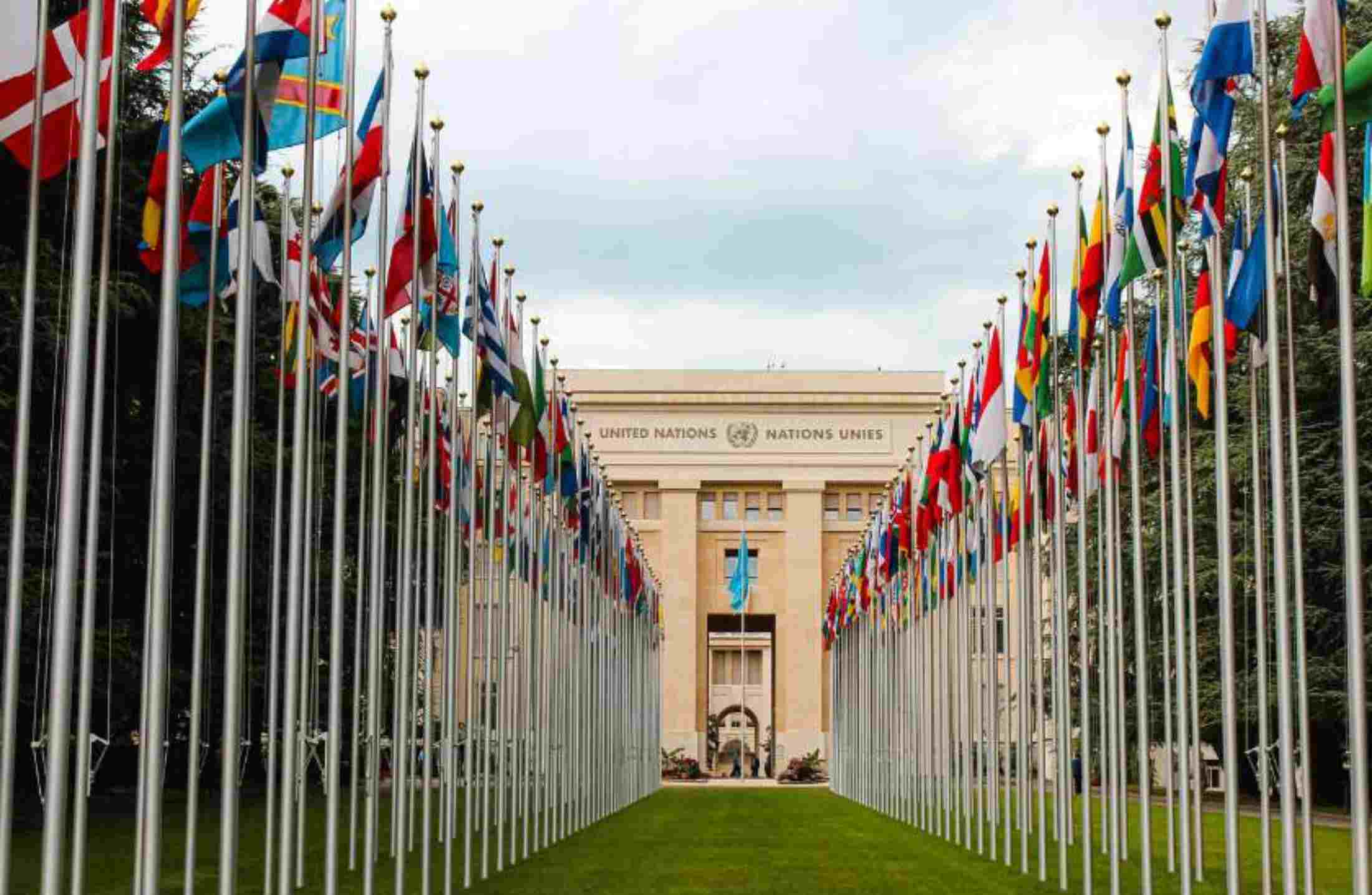 Como trabalhar na ONU: 6 cursos para quem sonha em fazer parte da organização