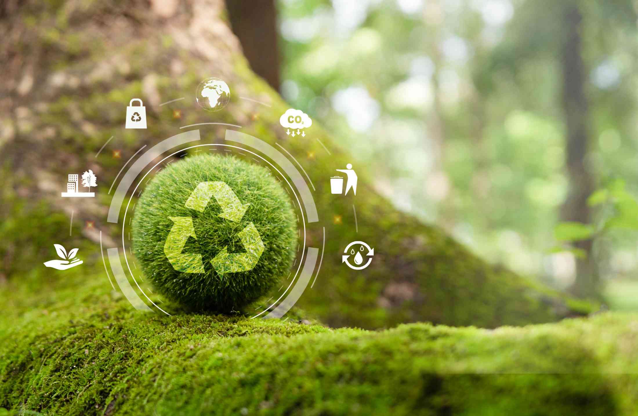 Economia circular e consumo sustentável: como funcionam e quais são suas vantagens
