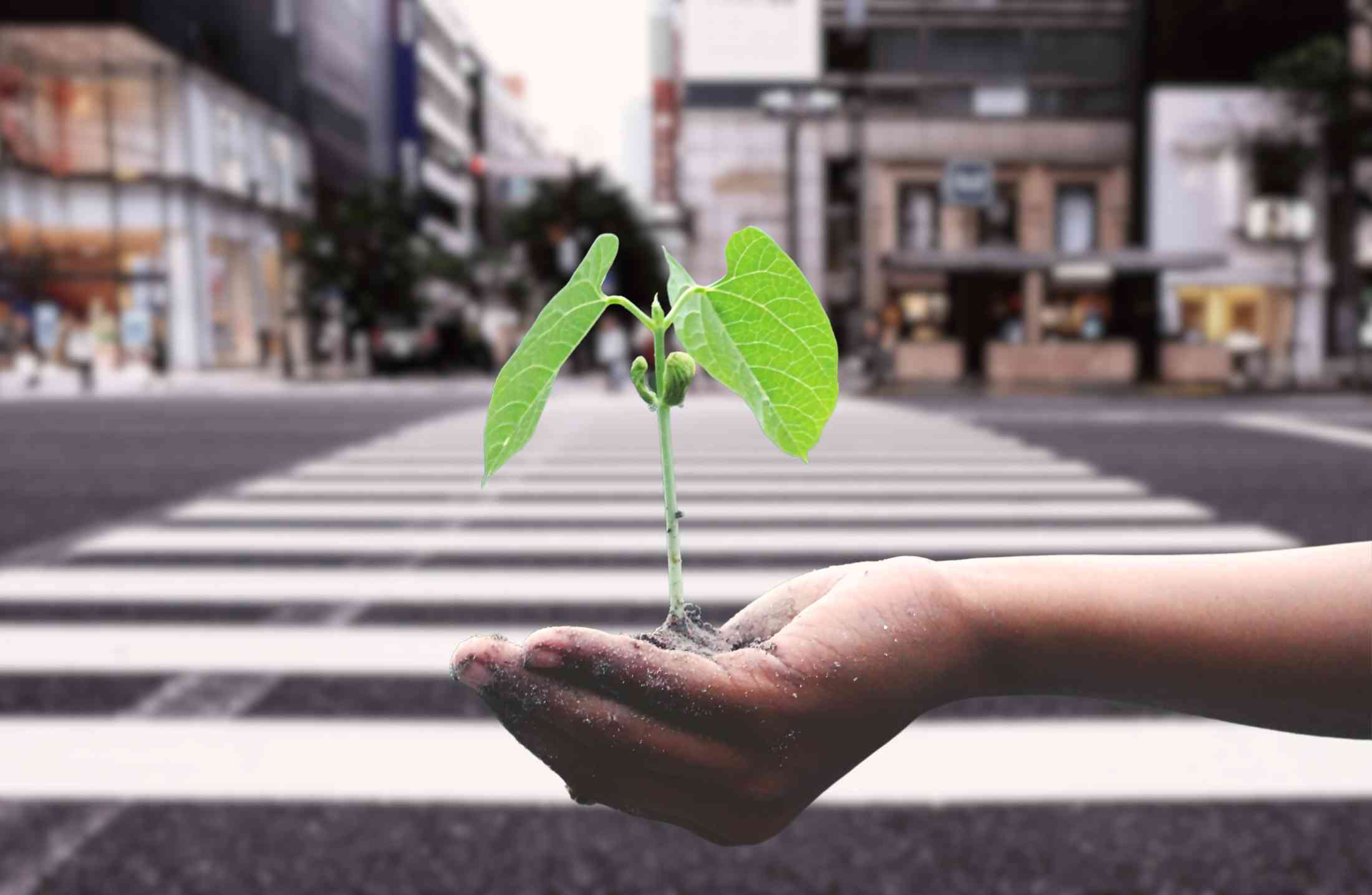 A importância e os desafios do desenvolvimento sustentável em centros urbanos