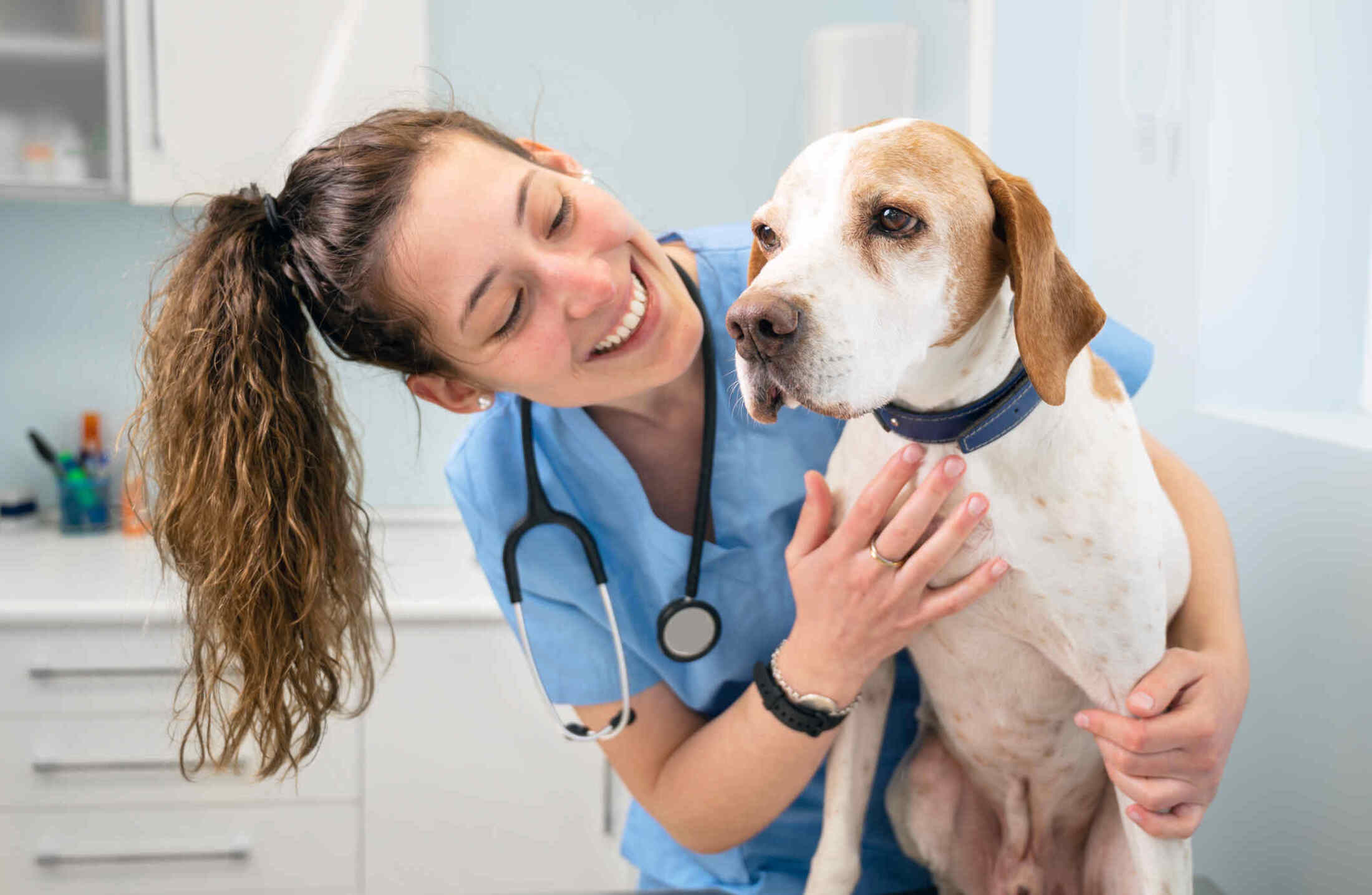 Medicina Veterinária: como é a rotina de um estudante?