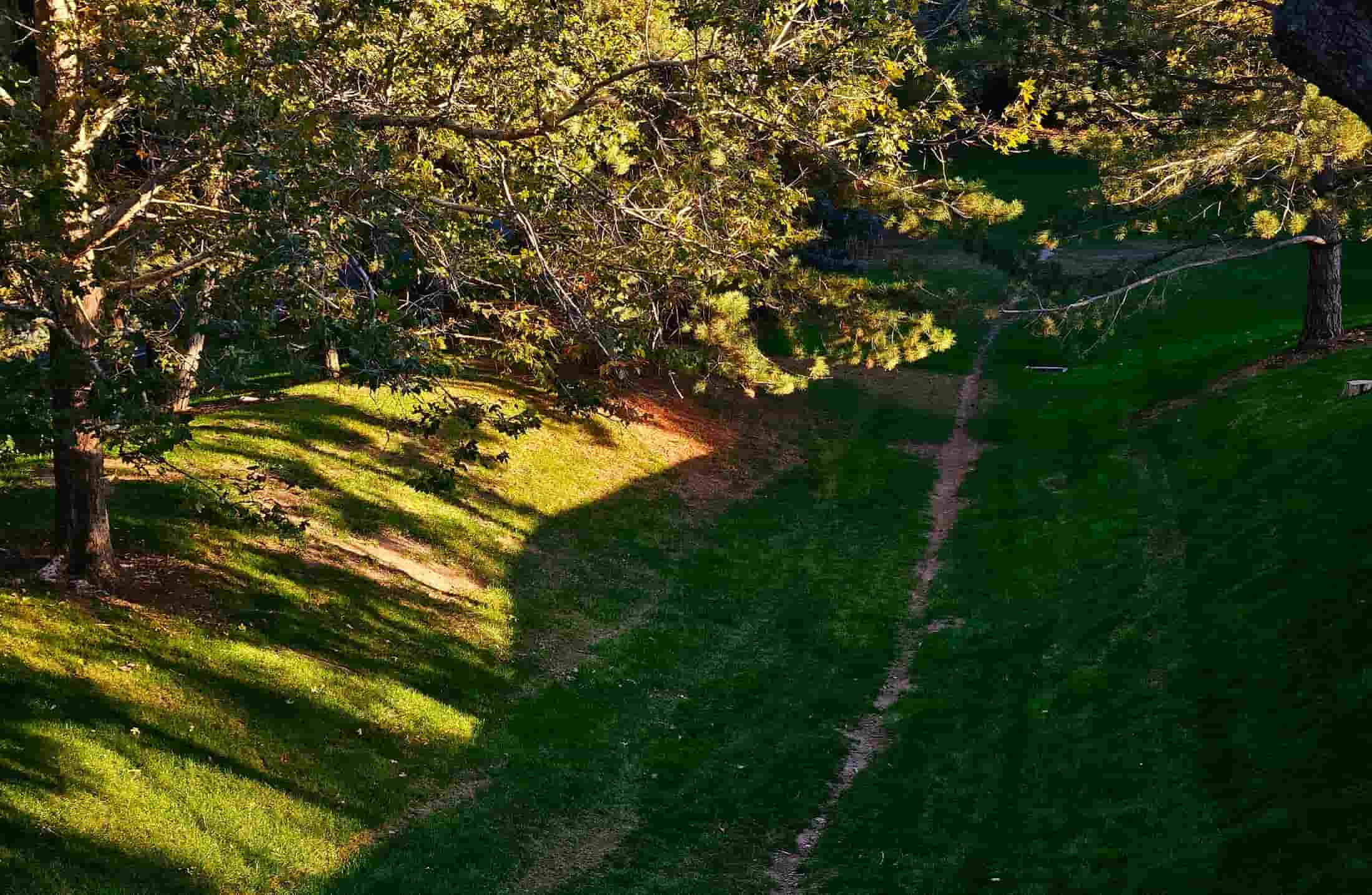 O que são caminhos ou linhas do desejo na Arquitetura?