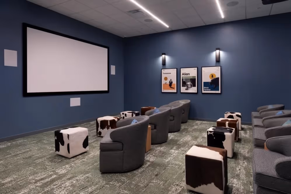 Theatre room with lounge seating