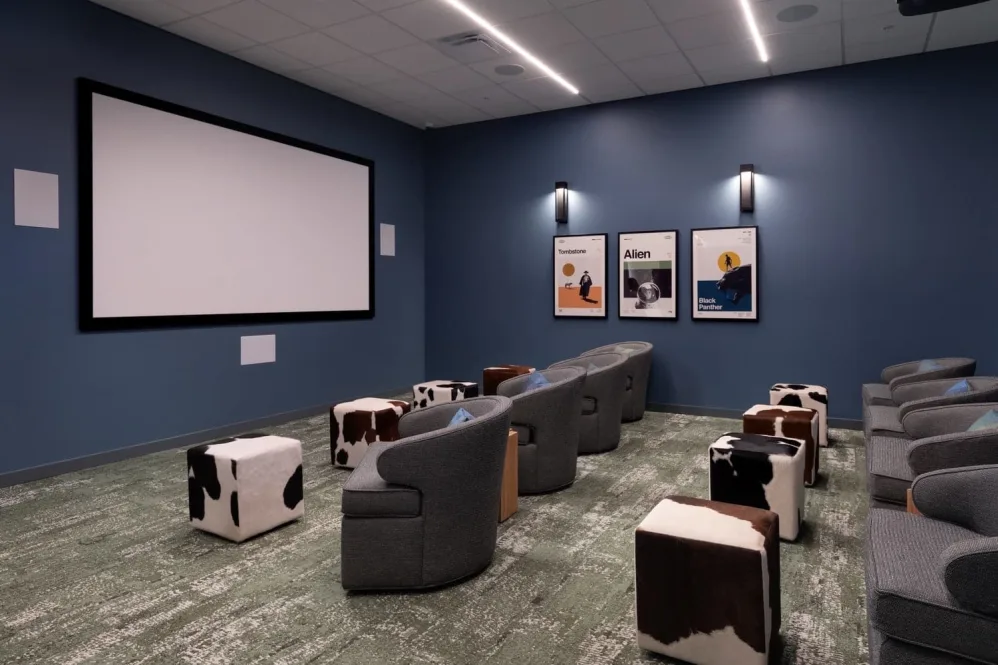 Theatre room