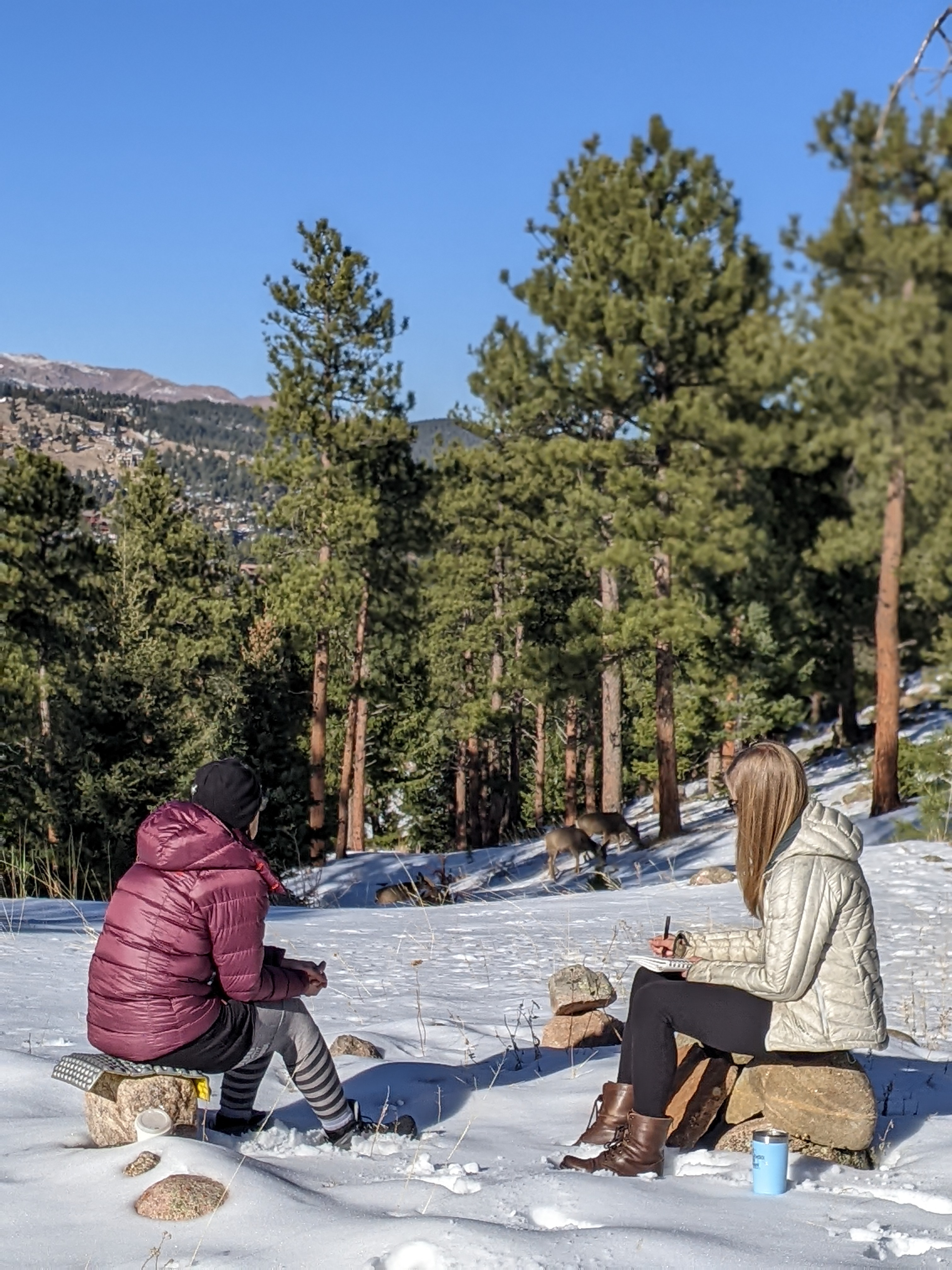 two people sitting on rocks in snow looking at deer