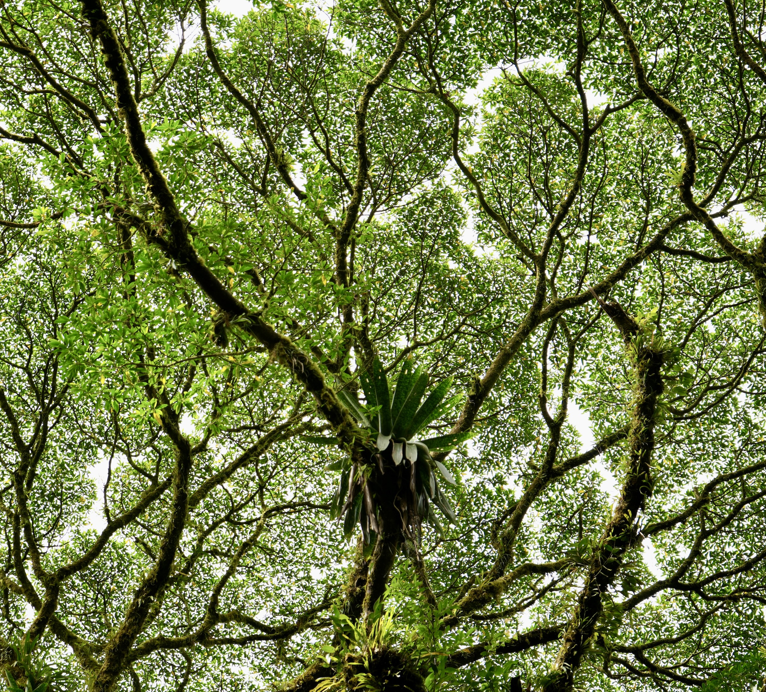 How does Nature inspire you