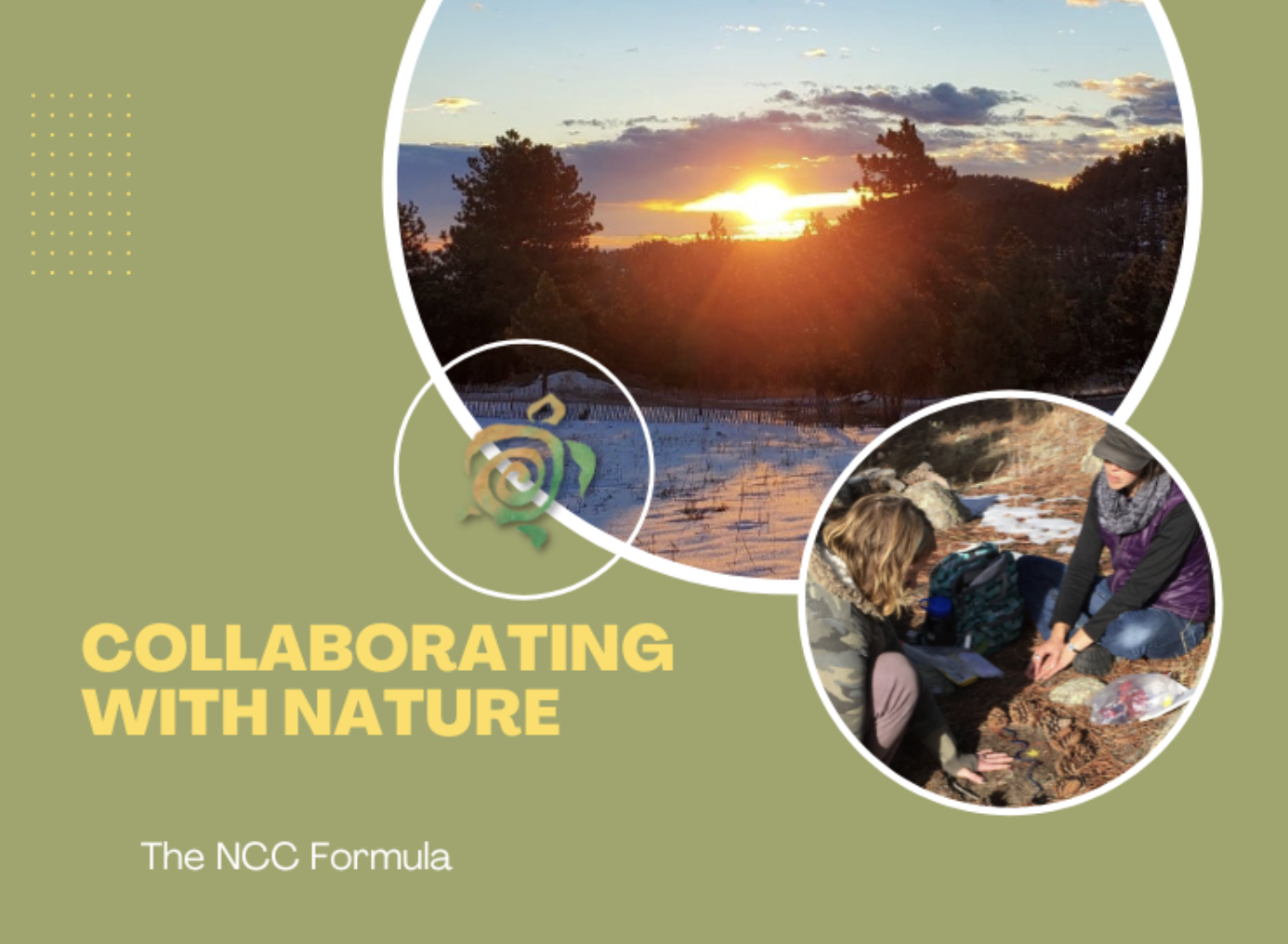 Collaborating with Nature — a nature-connection course included in NBIC