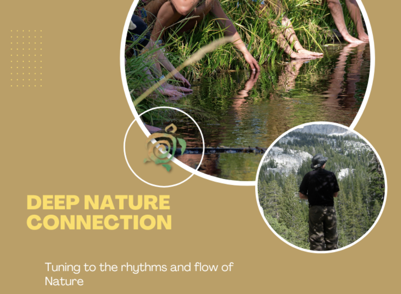 Deep Nature Connection — a nature-connection course included in NBIC