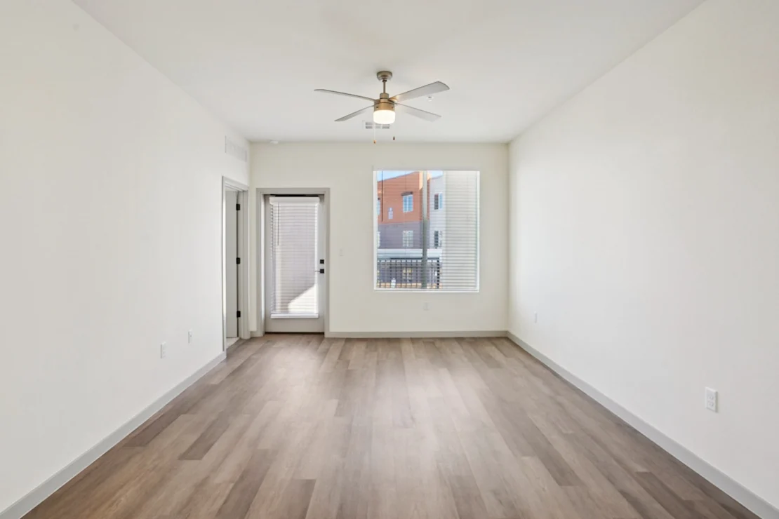 Living room and kitchen