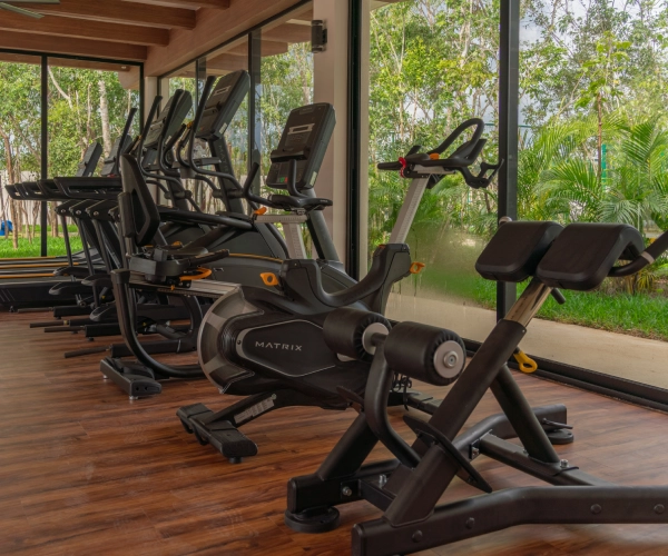 Valmira Living | Departamentos en Av. Huayacán, Cancún | PIP