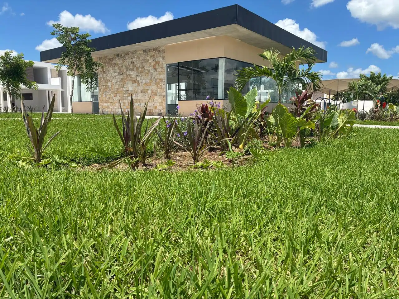 Adara | Casas en Temozón Norte, Mérida | PIP