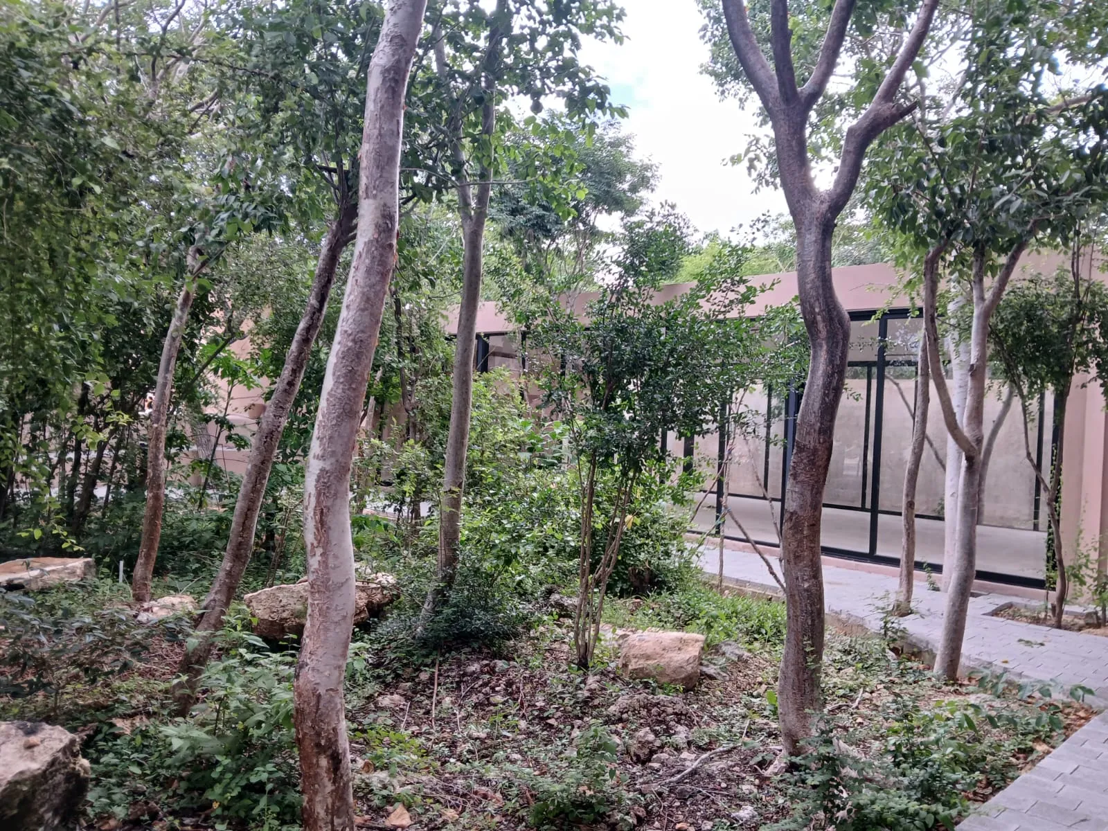 Alma Residencial | Casas en Cholul, Mérida | PIP