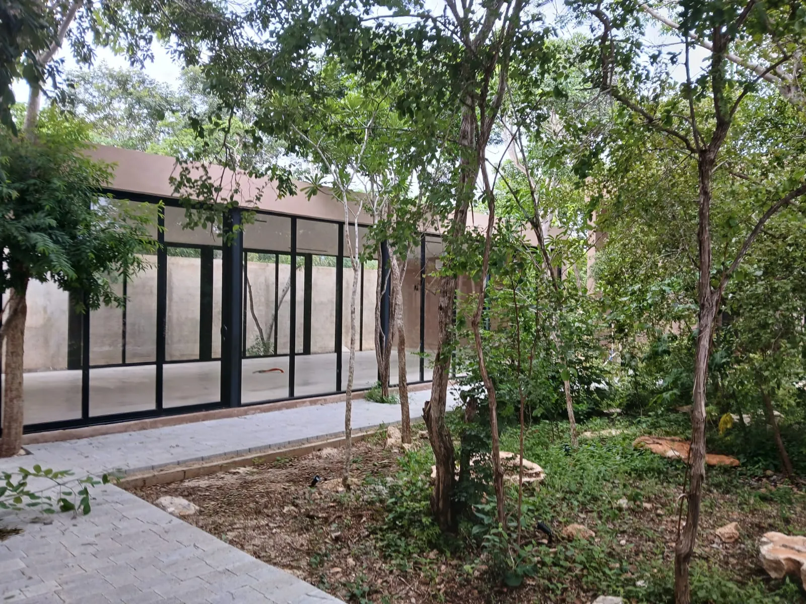 Alma Residencial | Casas en Cholul, Mérida | PIP