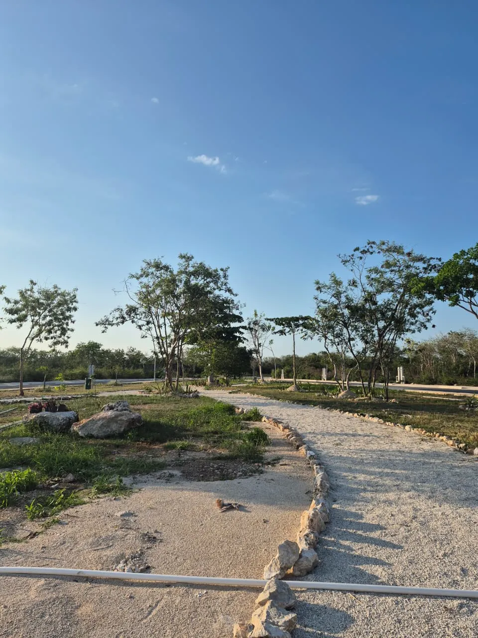 Terreno residencial en Mérida