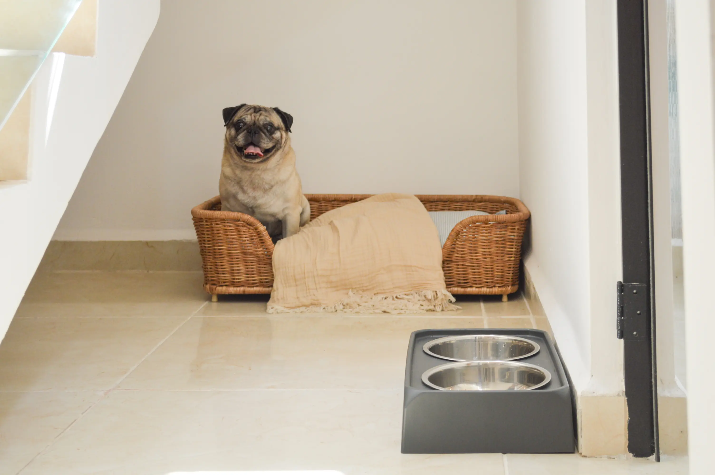 Catania Departamentos en Cancún | PIP