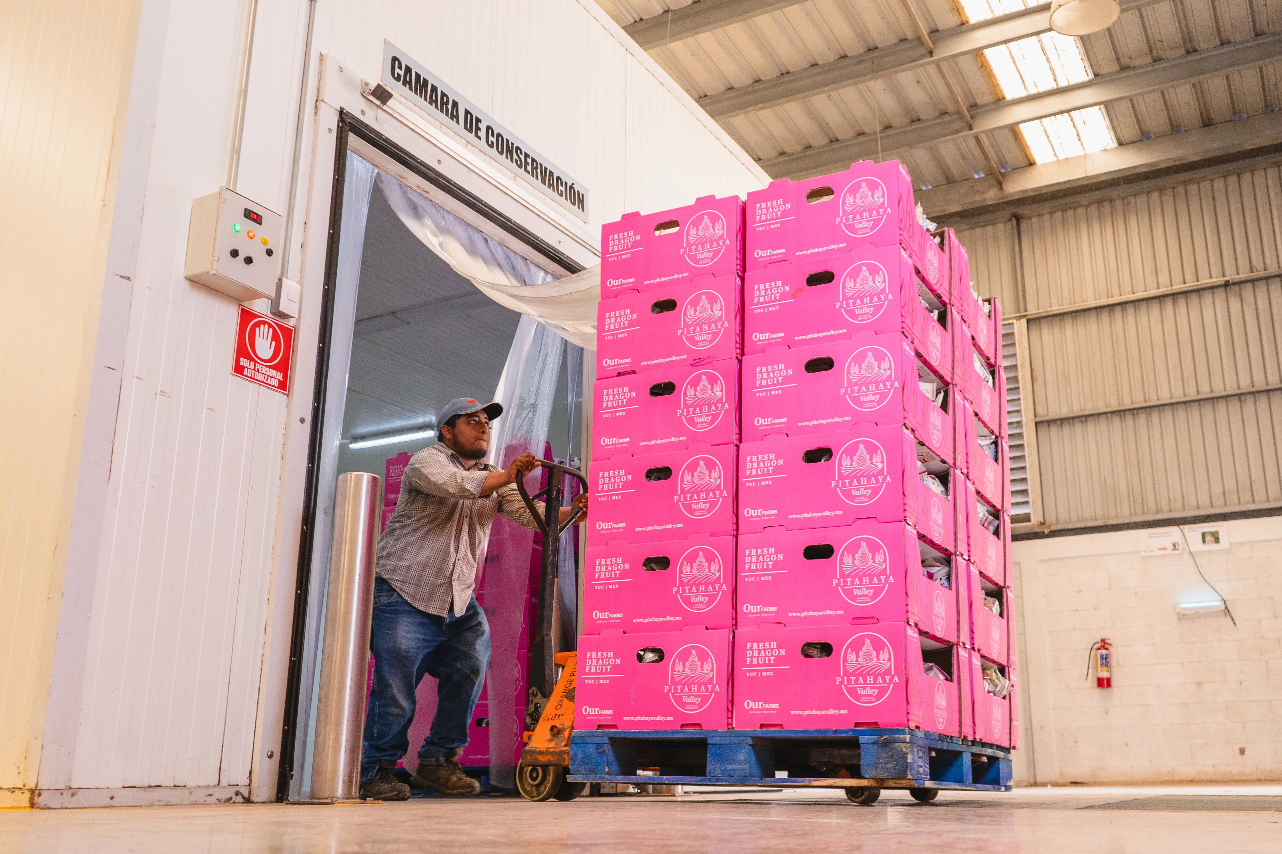 Pitahaya Investments | Terrenos productivos en Yucatán | PIP