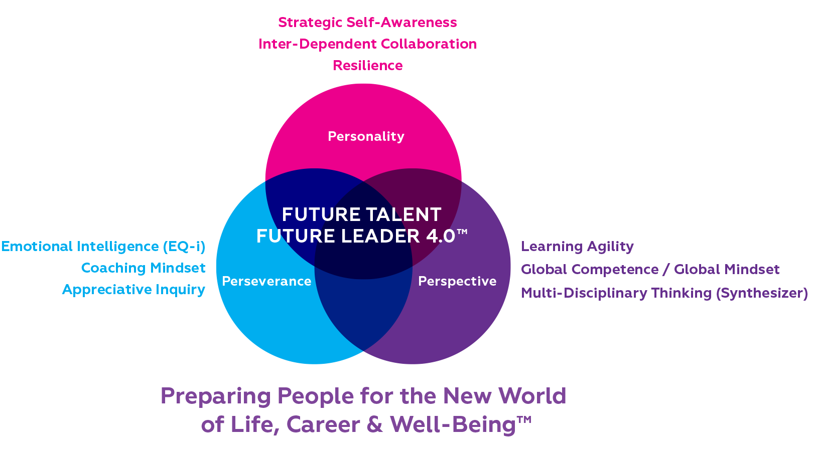 Future Talent Future Leader Model
