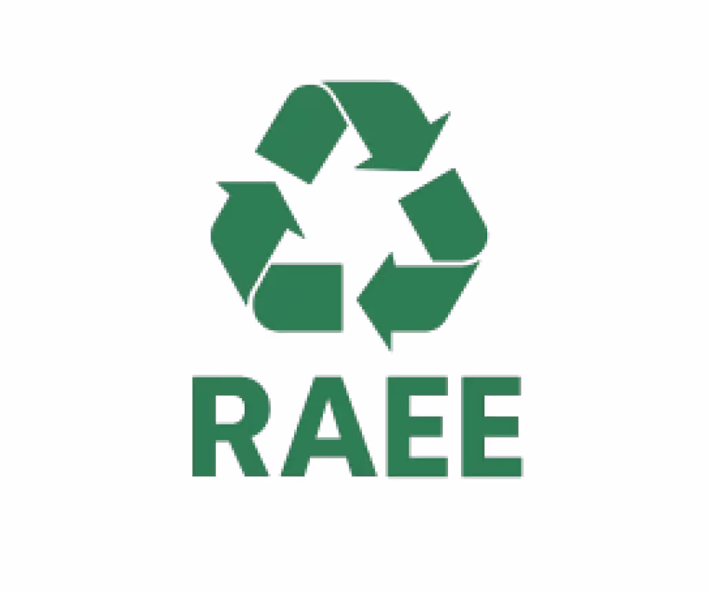 Green recycling symbol above the word RAEE in green capital letters.
