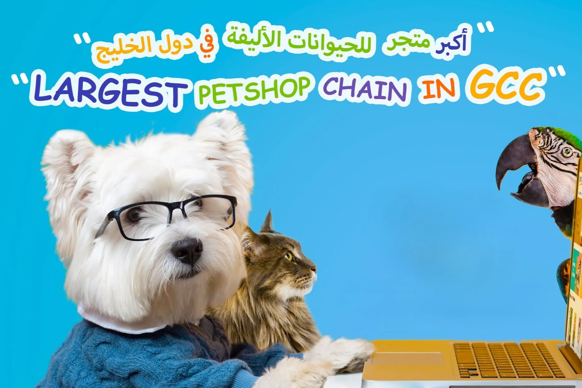 Pet zone Kuwait Pets shop