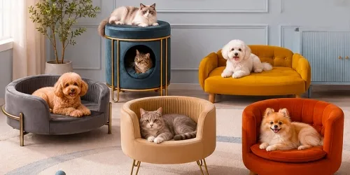 Pet zone Kuwait Pets shop