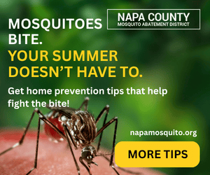 Targeted display ads to inspire Napa County residents to help prevent mosquitoes.