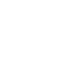 Primary Button Img