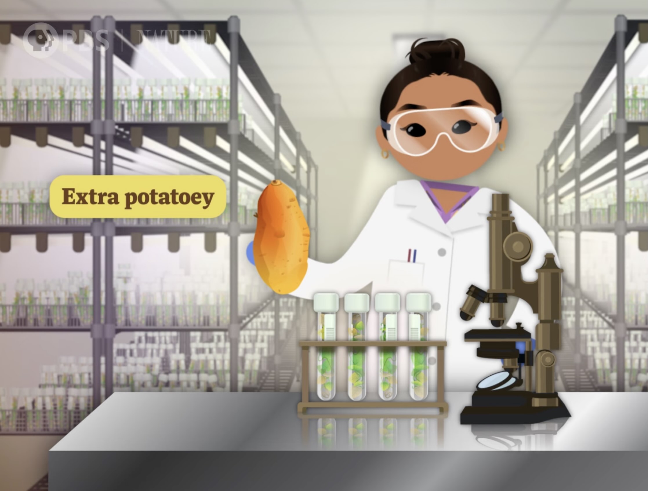 Frame from an illustrated Crash Course Botany video.