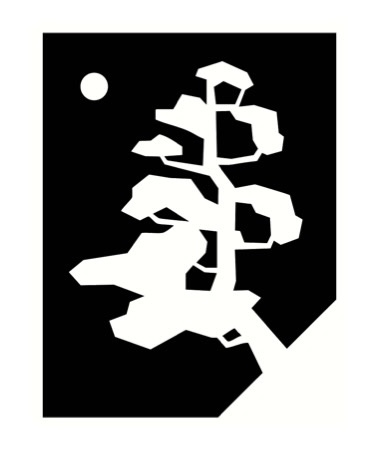 Logo concept for BlackPine Studio