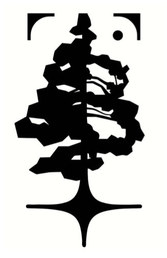 Logo concept for BlackPine Studio