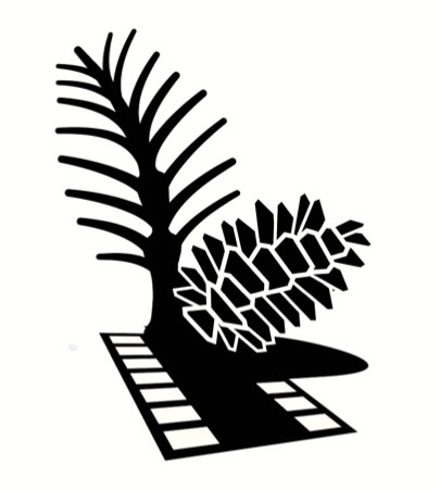 Logo concept for BlackPine Studio