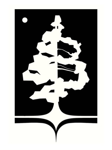 Logo concept for BlackPine Studio