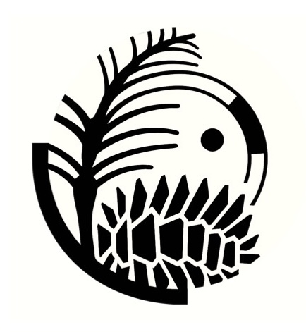 Logo concept for BlackPine Studio